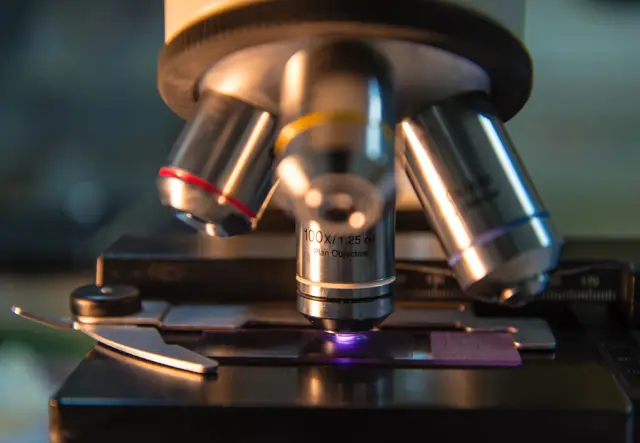 Испытания на животных важны для прогресса медицины, но протоколы могут быть улучшены: Усовершенствования протоколов испытаний на животных могут повысить достоверность и полезность, говорят ведущие уче