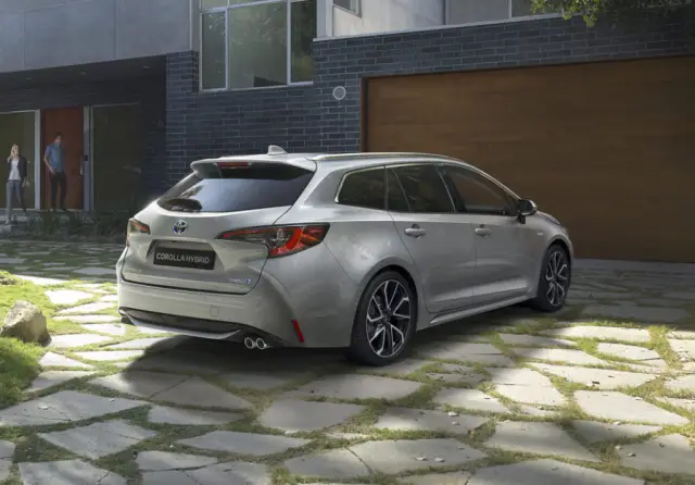 Новые виды динозавров увеличивают и без того неожиданное разнообразие «хлыстовых динозавров»: исследователи из Италии и Португалии описывают еще один новый вид зауроподов, живший 150 миллионов лет наз