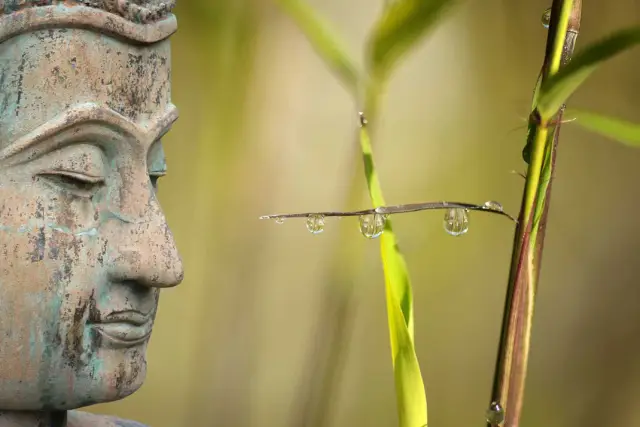 Археогенетик определяет происхождение населения Индии, используя сегодняшнее население: ученые определили миграцию людей из Африки, Ирана и Центральной Азии за период в 50 000 лет