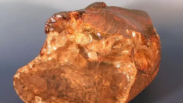 Микробы, устойчивые к антибиотикам, появились 450 миллионов лет назад, задолго до эпохи динозавров: выживание после массовых вымираний помогает объяснить практически неразрушимые свойства больничных с