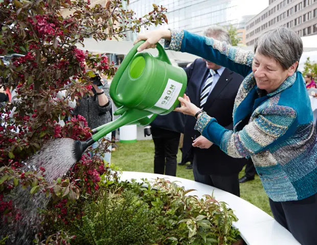 Городам необходимо «озелениться», чтобы уменьшить воздействие загрязнения воздуха: с вредным воздействием загрязнения воздуха в городах можно бороться, стратегически размещая низкие живые изгороди вдо