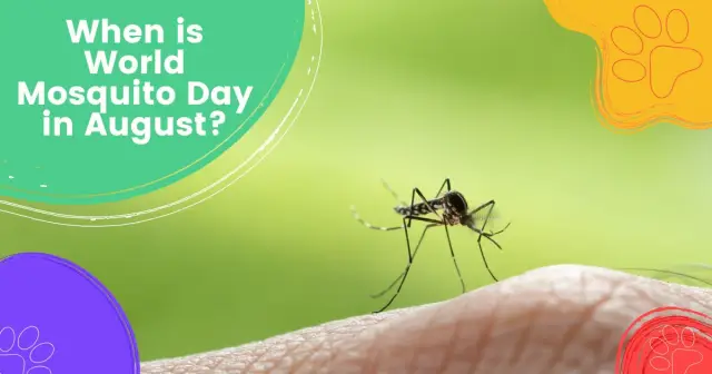 Переосмысление роли вирусов в экосистемах коралловых рифов: новое исследование может перевернуть давнюю парадигму о том, как вирусы и бактерии взаимодействуют в неблагоприятных условиях окружающей сре