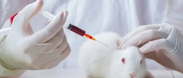 Оптимизация кормления необходима для поддержания производства молока в органических стадах: согласно новому исследованию, решения об использовании пастбищ и управлении кормлением влияют на выбросы пар