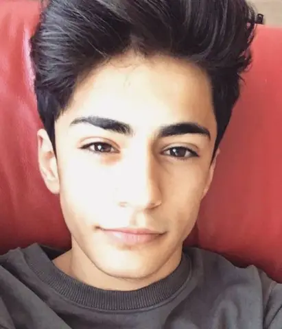 Может ли посещение лечебных животных представлять риск для здоровья в лечебных учреждениях? Общенациональное обследование больниц, учреждений по уходу за престарелыми и организаций животных-терапевтов