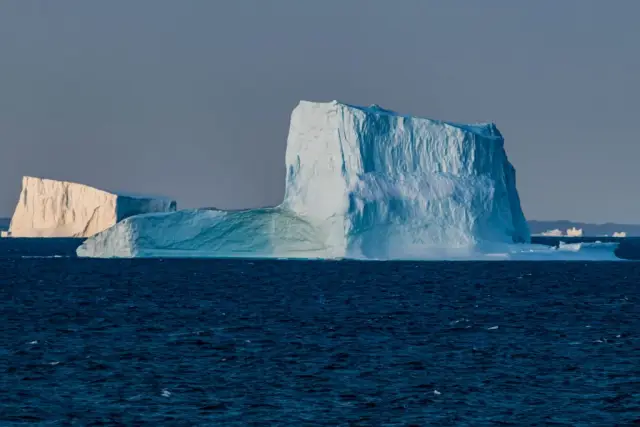 Горбатые киты: преданность месту отела ведет к различиям в популяциях, исследование показало: крупнейшее исследование такого рода помогает пролить свет на невидимые связи между популяциями китов