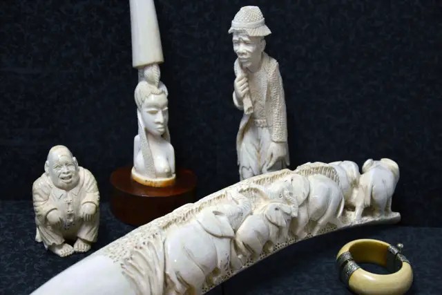 Изменения в планировании сохранения могут принести пользу уязвимым млекопитающим: новое исследование представляет собой первую биологическую карту приоритетных территорий, которая охватывает несколько