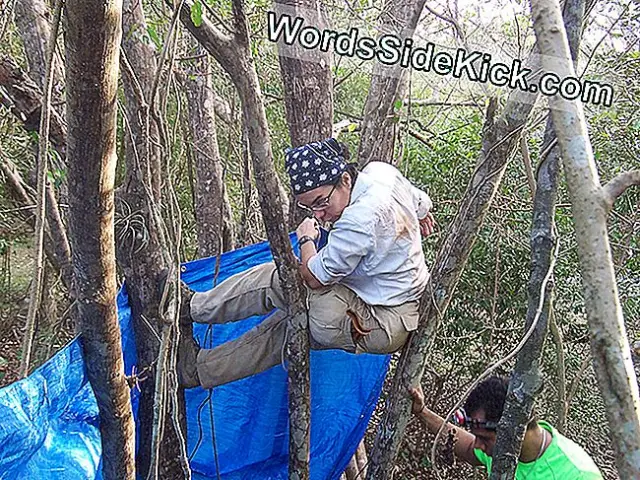 Прелюдия к глобальному вымиранию: влияние человека на животных Земли: биологи говорят, что исчезновение видов рассказывает только часть истории воздействия человека на животных Земли