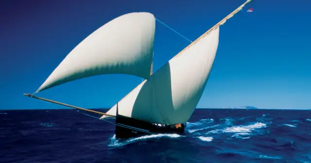 Высокий уровень устойчивости к антибиотикам в птицеводстве в Индии вызывает обеспокоенность: новое исследование предупреждает о потенциально катастрофических