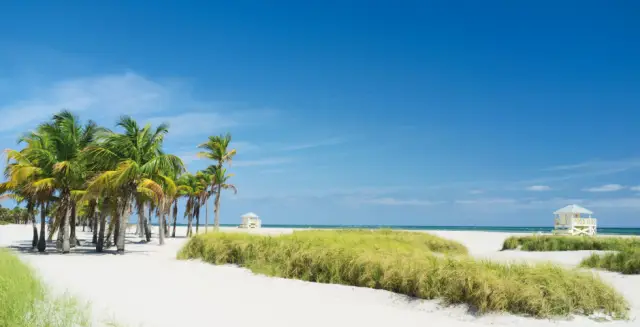 Тысячи генов, которыми обмениваются микробные сообщества, живущие на сыре: такие идеи, как «острова» переноса генов, дают представление о динамике микробных экосистем