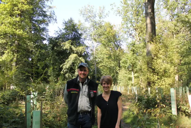 Пострадавшие от засухи деревья гибнут из-за гидравлического отказа и углеродного голодания: открытие улучшает прогностические модели того, как деревья умирают в ответ на жару, засуху и другие климатич