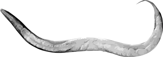 Червячный атлас профилирует показания генов в каждом типе клеток животного: изучение того, как генетические инструкции управляют формированием частей тела, станет одним из многих применений этого перв