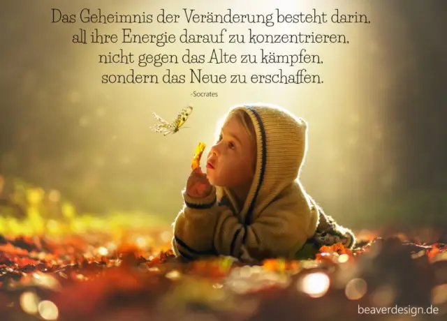 Законы притяжения: феромоны не лгут, как показывают исследования плодовых мушек: феромоны самок плодовых мушек, запускаемые сигналами инсулина, могут сообщать самцам об уровне ее яйценоскости