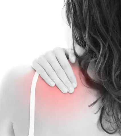 Ребра шеи шерстистого носорога дают представление об их упадке и возможном вымирании: окаменелости указывают на редкое состояние вымерших видов, возможно, вызванное инбридингом и суровыми условиями во