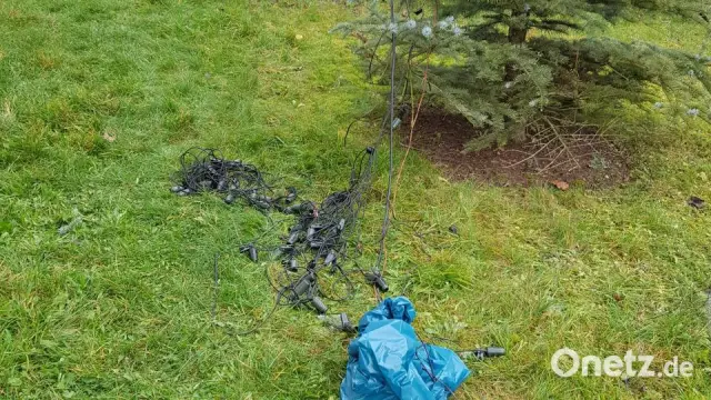 Извержения вулканов привели к древнему глобальному потеплению: событие потепления, которое произошло 56 миллионов лет назад, привело к значительным экологическим нарушениям и может пролить свет на сов