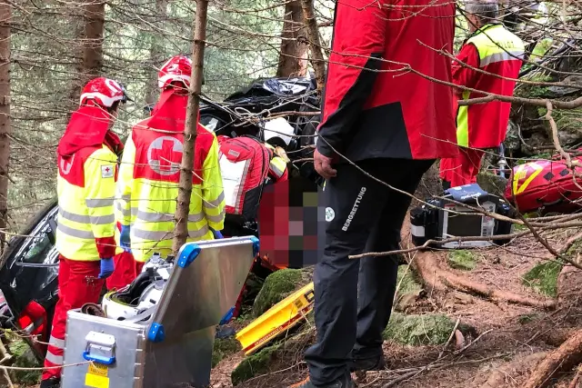 Древнее дерево раскрывает причину всплеска температуры в Арктике: 30 000-летнее дерево каури раскрывает атмосферный механизм, который привел к событию Дансгаард-Эшгер во время последнего ледникового п