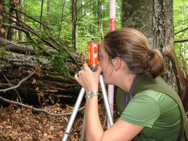 Удаление инвазивных растений может увеличить биоразнообразие в речных водах: проекты восстановления с целью удаления инвазивных растений могут оказать положительное влияние на местные виды растений