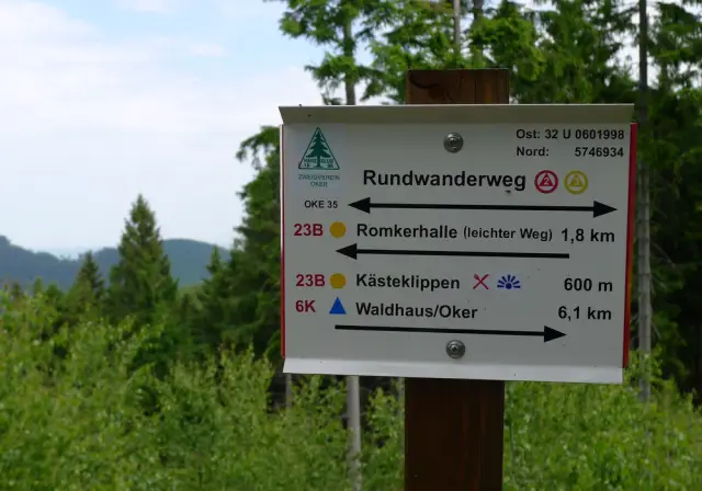 Пути выхода из изоляции для йеллоустонских гризли: ученые из Монтаны прокладывают пути к более обширным брачным лужам в северных Скалистых горах, основываясь на характерных движениях медведей-самцов