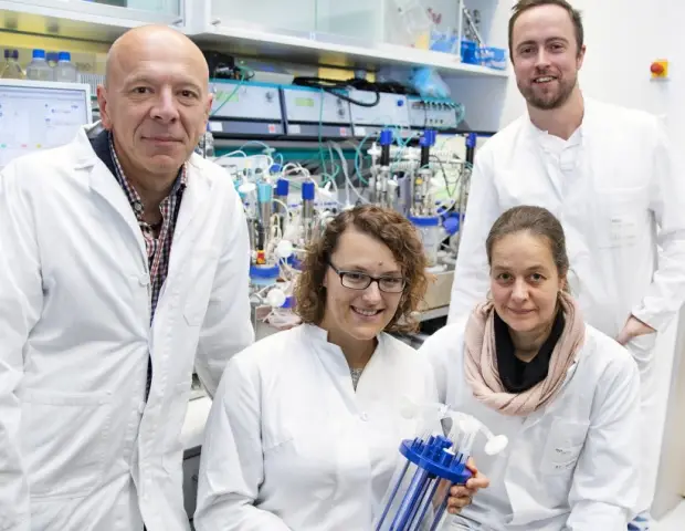 Ауксин приказывает стволовым клеткам прекратить рост и начать формирование гинецея в цветках: определена роль растительного гормона ауксина в определении перехода от деления клеток к репродукции цветк