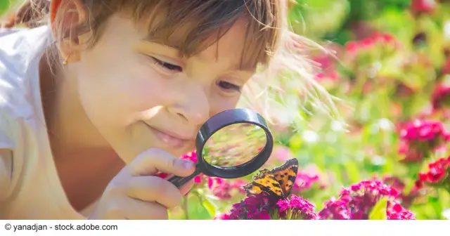 Восстановление среды обитания может максимизировать преимущества морских охраняемых районов: производство и пополнение личинок устриц выше как на восстановленных рифах, которые находятся под защитой, 