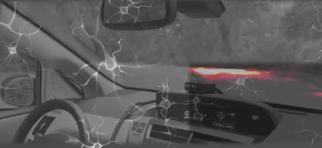 Искусственные нейронные сети могут повысить эффективность сбора коллекций естественной истории: методы глубокого обучения позволяют различать похожие семейства растений с точностью до 99 процентов