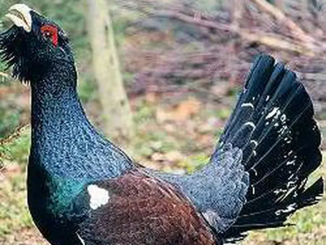 Кости тигра? Кости льва? Почти вымерший саговник? Проверка ДНК на месте в портах въезда: теперь можно быстро идентифицировать неидентифицируемые фрагменты животных и растений с помощью полевого набора