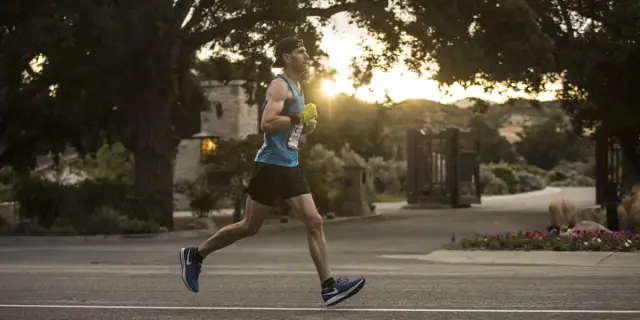 Долгосрочное исследование лесозаготовок демонстрирует воздействие на шимпанзе и горилл (Республика Конго): многолетнее исследование показывает воздействие до, во время и после выборочной рубки на попу