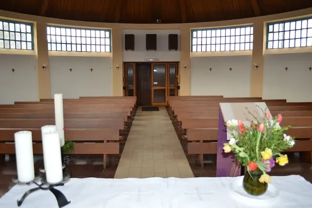 Крупномасштабный подход выявляет несовершенного участника биотехнологии растений: обнаружены химические «ошибки» распространенного фермента, устойчивого к гербицидам, переработанного для повышения точ