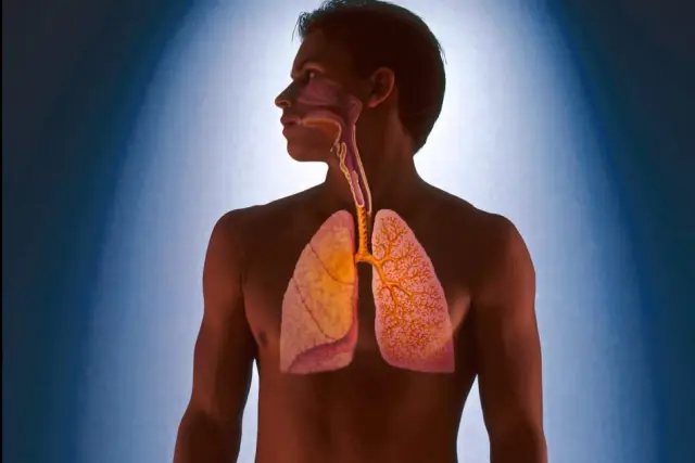 Почему генетически идентичные люди отличаются друг от друга? Спроси у своей мамы! Ученые выяснили, что основной причиной различий между генетически идентичными людьми является возраст их матерей