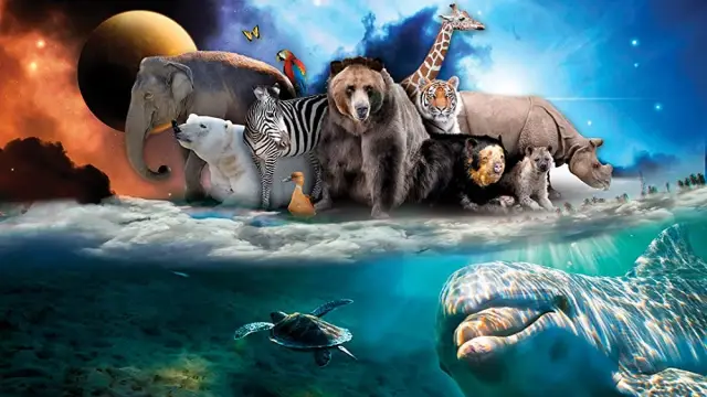 Изменчивость внутри видов является критическим аспектом биоразнообразия: исследователи сравнили экологические последствия изменчивости внутри видов и между видами и во многих случаях обнаружили схожие