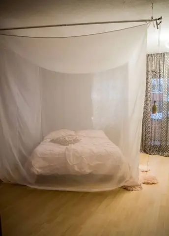 Инновационная система отображает фотосинтез, чтобы получить представление о здоровье растений: Crop imager может позволить сельскохозяйственной технике автоматически реагировать на стресс растений