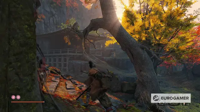 Исследование находит способы избежать скрытых опасностей накопленных нагрузок на водоросли: Сотни миллионов кубометров жизненно важных лугов водорослей во всем мире могут потенциально оказаться под уг