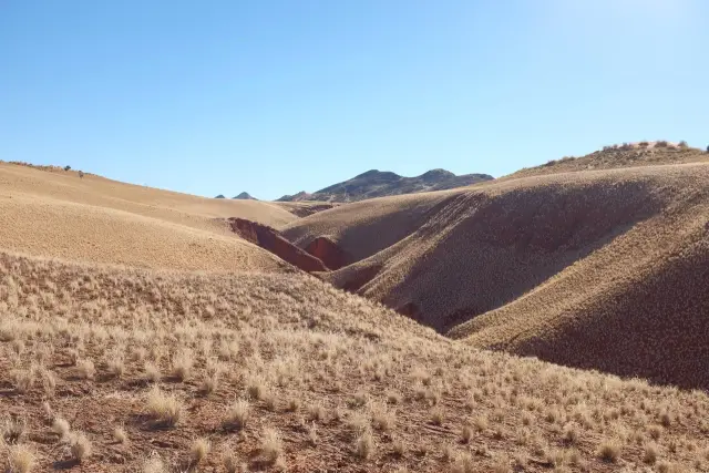 Экстремальные полевые исследования, моделирование климата дают новое представление о прогнозировании таяния Гренландии: профессор Калифорнийского университета в Лос-Анджелесе и аспиранты используют ра