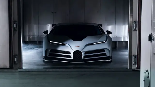 Шесть новых видов шелковистых муравьедов: всестороннее исследование с использованием генетики и анатомии показало, что то, что когда-то считалось одним видом, может быть комплексом, состоящим как мини