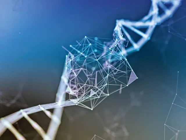 Увеличение загрязнения воздуха связано с плохим поведением подростков: крошечные токсичные частицы проникают в развивающийся мозг, вызывают воспаление и могут повредить пути мозга, ответственные за эм