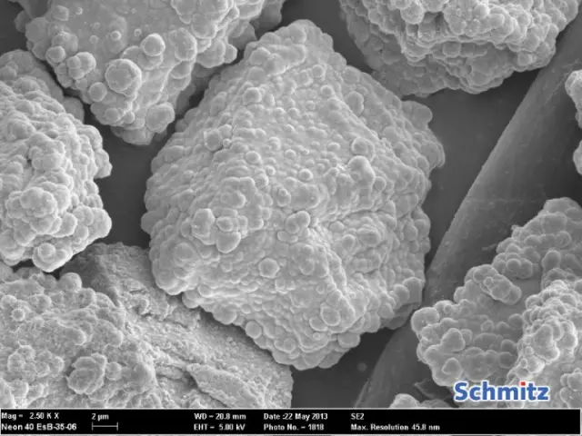 Создание биорелевантных наноматериалов: комбинированная стратегия полимеризации и электростатической самосборки для синтеза низкоразмерных полиионных сложных наноматериалов с различной морфологией