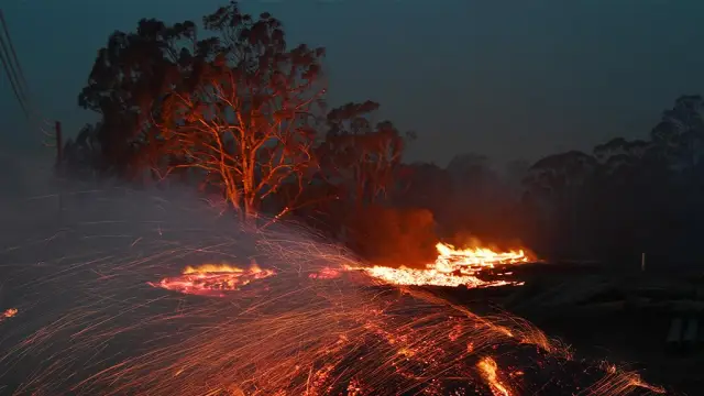 Динозавр размером с индейку из Австралии сохранился в древнем бревенчатом заторе: новая окаменелость дает новое представление об эволюции и разнообразии динозавров, которые когда-то населяли австралий