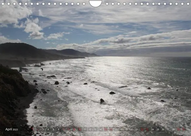 Фермы марихуаны подвергают пятнистых сов воздействию крысиного яда в северо-западной Калифорнии: поскольку леса превращаются в каннабис, пятнистые совы и полосатые совы дали положительный результат на