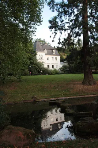 Напечатайте «ископаемое» динозавра возрастом 200 миллионов лет у себя дома: компьютерная томография позволяет распечатать и изучить череп динозавра вида Massospondylus, который бродил по Южной Африке 