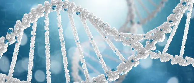 Определенные мутации вируса гриппа могут компенсировать затраты на приспособление, связанные с другими мутациями: неожиданные мутации помогают вирусу гриппа сохранять приспособленность, противодейству