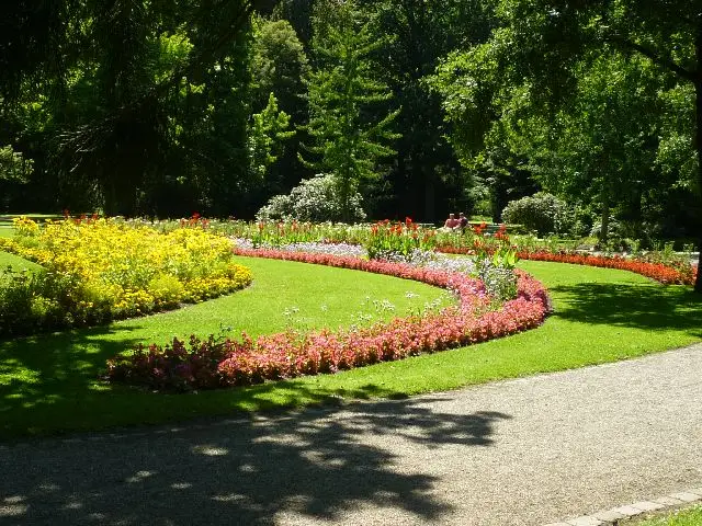 Посадка парка на скоростной автомагистрали Кросс-Бронкс сэкономит деньги и жизни: исследователи общественного здравоохранения подсчитали, как создать парк на вершине участка шоссе, найдя его стоящим в