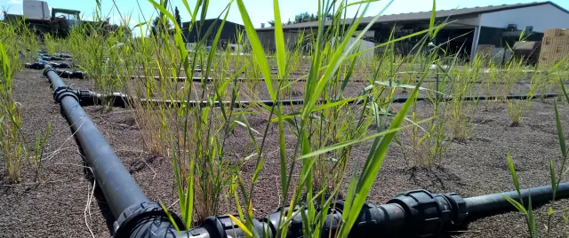 Сохранение лесов может иметь большее воздействие на окружающую среду, позволяя устойчиво вести лесозаготовки: владельцы лесов, подвергающиеся большему риску обезлесения, с большей вероятностью будут у