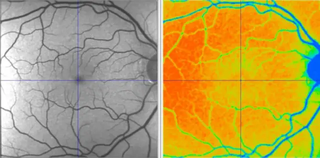 Акустическая визуализация выявляет скрытые черты меганадвигового разлома у побережья Коста-Рики: первые подробные трехмерные изображения меганадвигового разлома показывают длинные борозды и другие осо