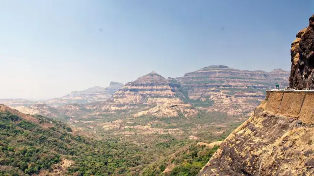 Потепление климата вызывает локальное исчезновение видов полевых цветов Скалистых гор: более теплые и сухие условия уничтожили экспериментальные популяции северного скального жасмина, горного полевого