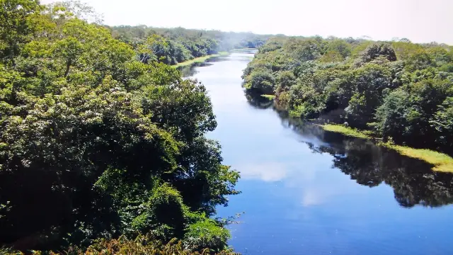 Объяснение сезонных закономерностей в Амазонии: ученые объединяют полевые исследования и вычислительные модели со спутниковыми снимками, чтобы улучшить исследования климата в тропических лесах