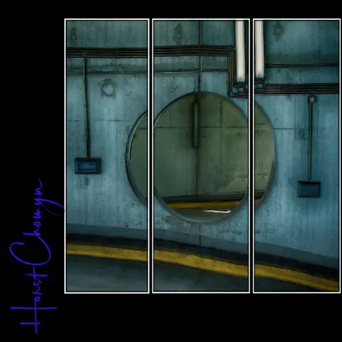 Данные отслеживания раскрывают тайную жизнь морских животных: тюлени, киты, акулы, черепахи, морские птицы и другие морские позвоночные демонстрируют схожие модели движения в морской среде