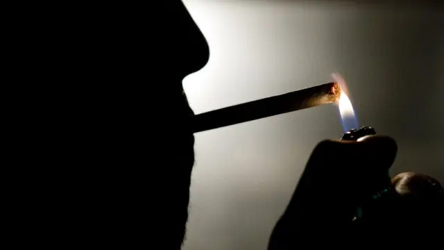 Почему преждевременное деление клеток способствует возникновению рака: исследователи обнаружили, как гены, ответственные за деление клеток, при мутации нарушают процесс репликации генома и способствую