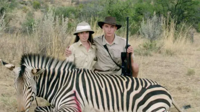 Охотников на крупную дичь в Африке призвали отказаться от свинца, чтобы помочь спасти стервятников: фрагменты свинцовых пуль в тушах, оставленные охотниками, отравляют находящихся под угрозой исчезнов