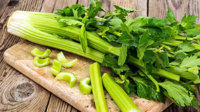 Изменение климата и рекреационная деятельность на пруду Уолден изменили его экосистему: планктонные микрофоссилии в керновых отложениях указывают на антропогенное воздействие за последние 1800 лет