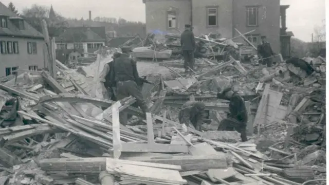 Изменение климата наносит ущерб нежным отношениям между орхидеями и пчелами: первая убедительная демонстрация изменения климата, нарушающего жизненно важные взаимозависимые отношения между видами