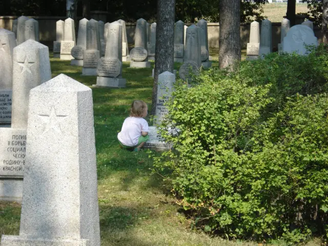 Даже короткие международные поездки могут распространять устойчивые к колистину бактерии: исследователи обнаружили, что короткие поездки в развивающиеся страны могут увеличить появление гена устойчиво